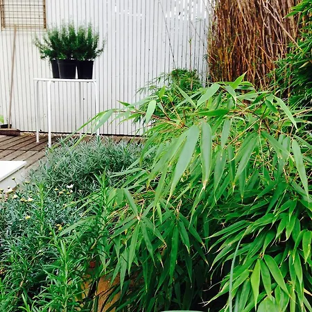 Tiny House Madame Jeanette * Zandvoort