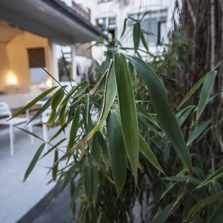 Tiny House Madame Jeanette Nabij Centrum En Zee بيت للعطل