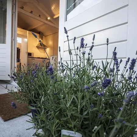 Tiny House Madame Jeanette Nabij Centrum En Zee