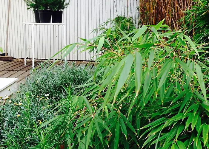 Tiny House Madame Jeanette Nabij Centrum En Zee * Zandvoort