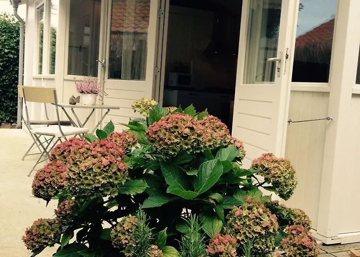 Tiny House Madame Jeanette Nabij Centrum En Zee Holiday home Zandvoort